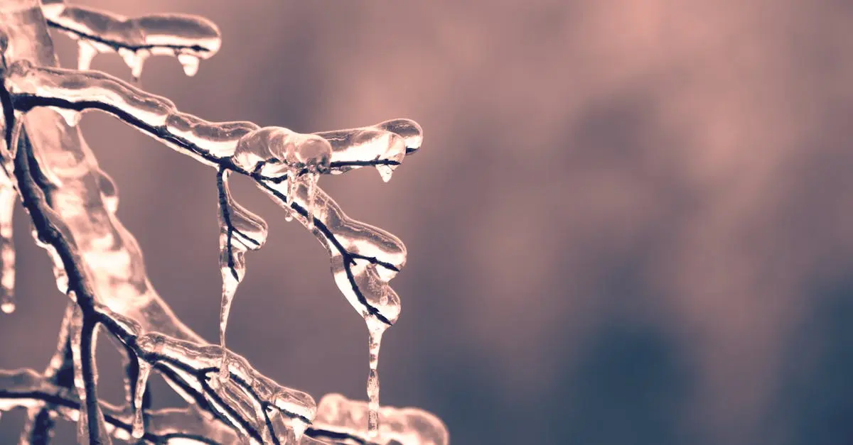 Quiz image for: Frozen
