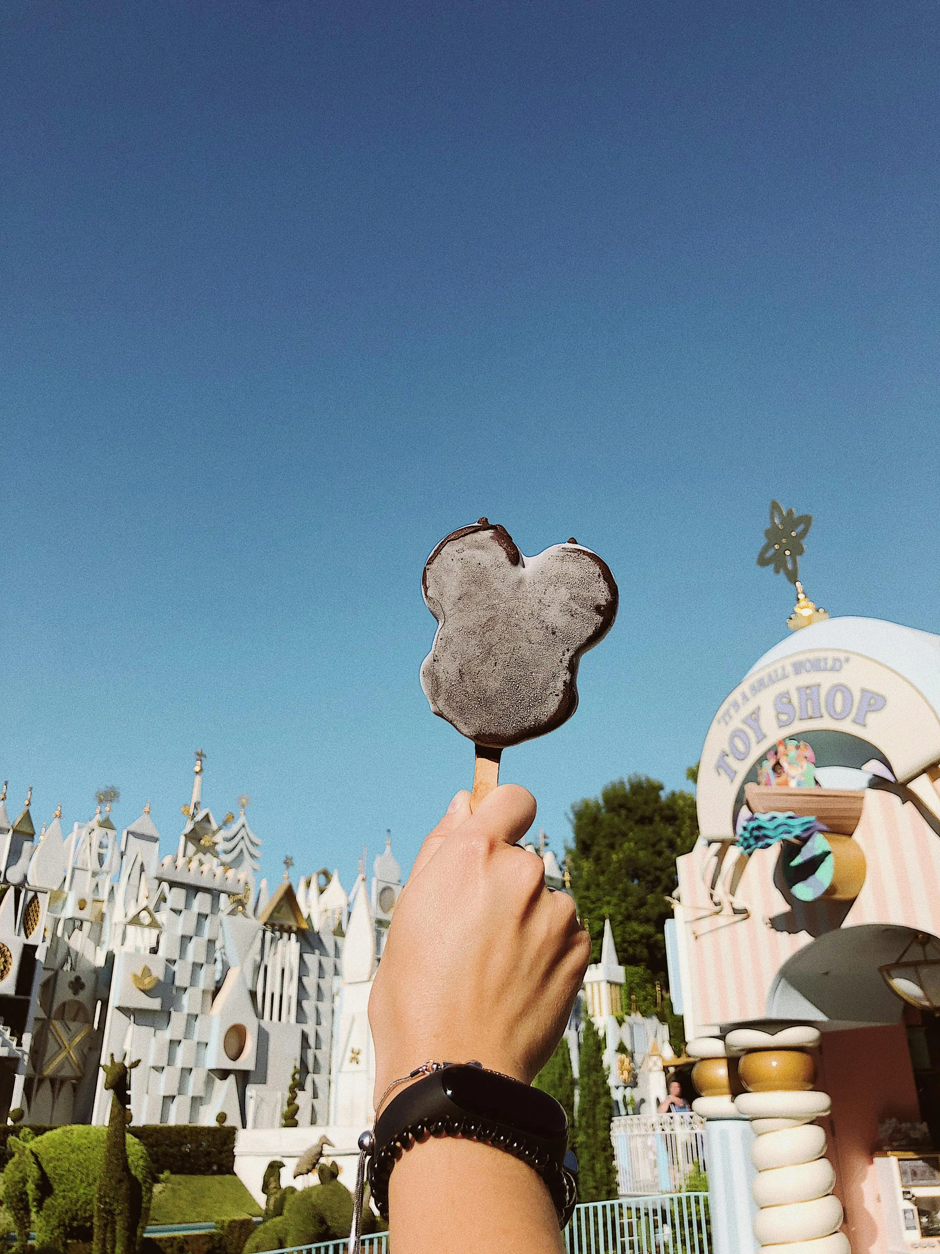 Quiz image for: Disneyland