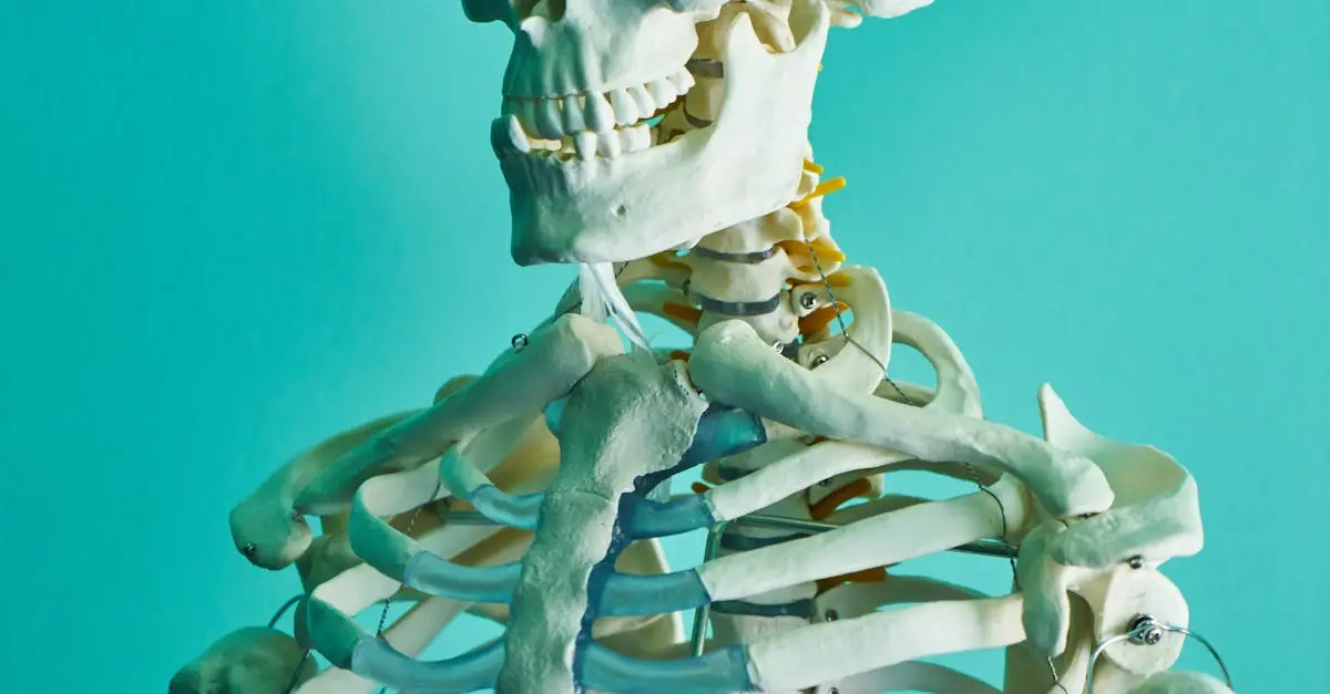 Quiz image for: Basic Anatomy of Bones