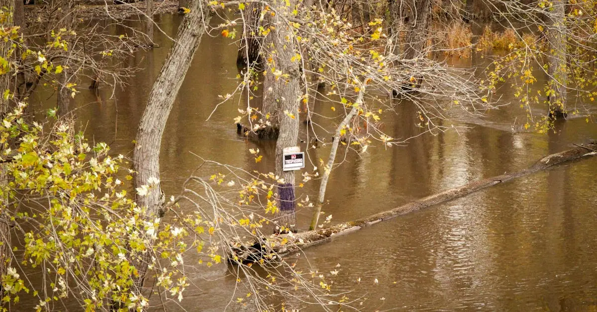 Quiz image for: Flood risk