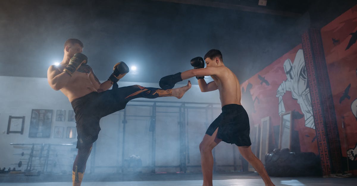 Quiz image for: MMA fight