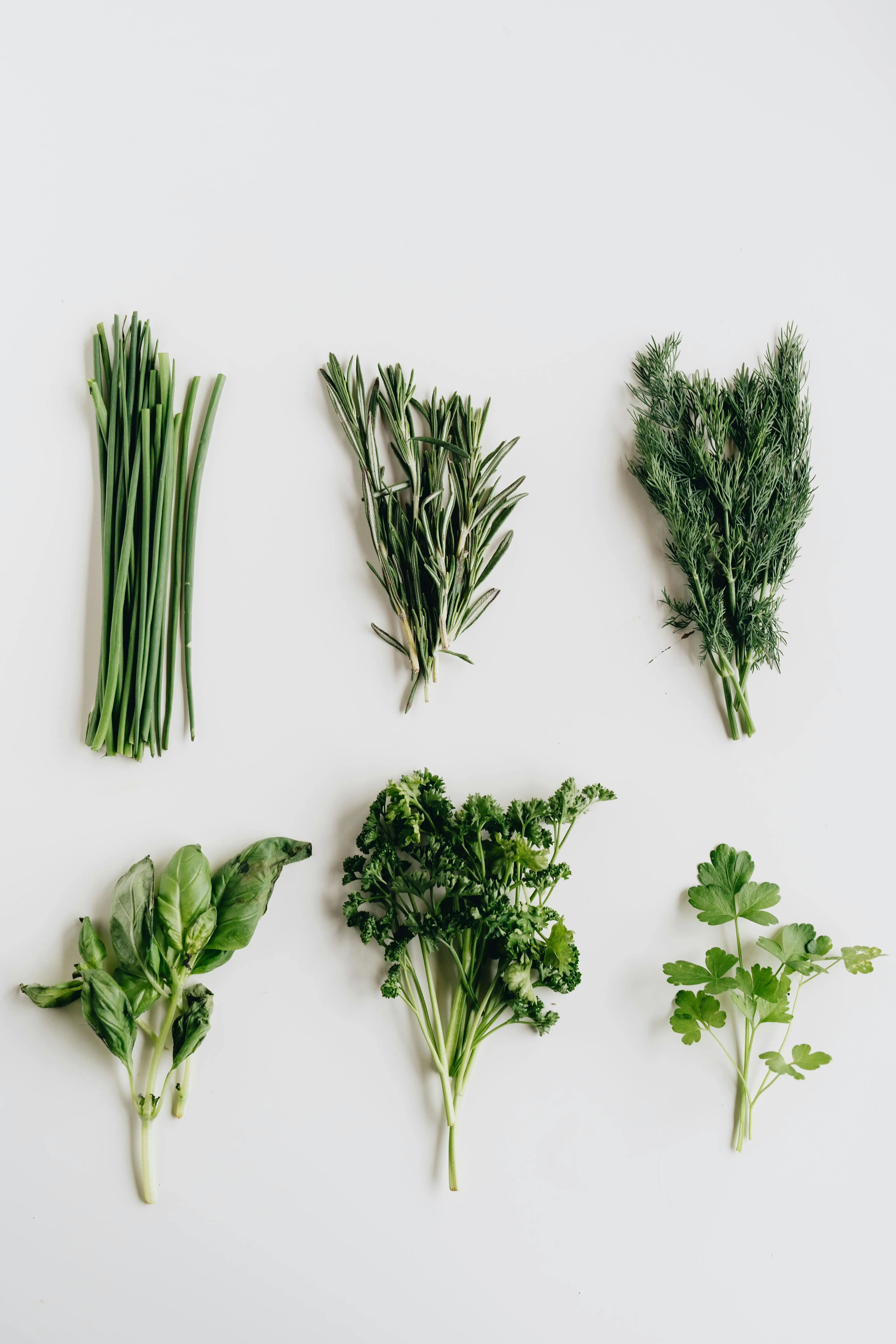 Quiz image for: Introduction to Spices and Herbs
