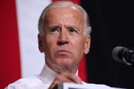 Articles: Democrats Likely to Dump Biden