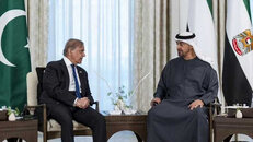 PM Shehbaz discusses regional situation with UAE president